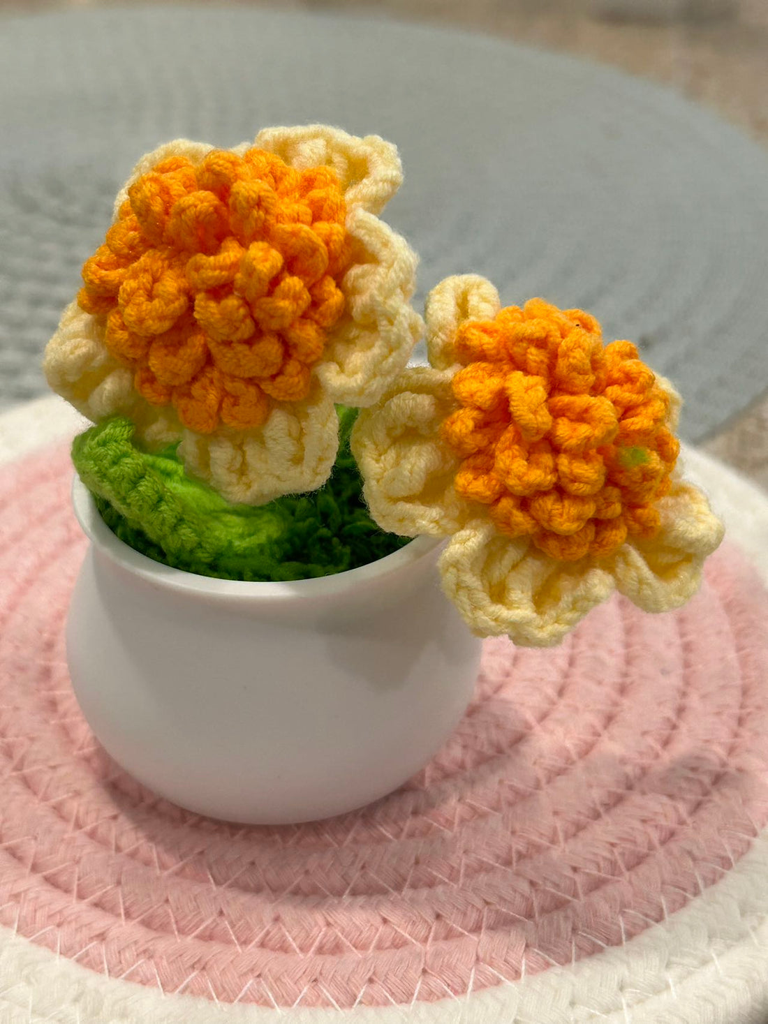 Crochet Plants, Crochet Flower Plants,Crochet Potted Flower, Gift for kid